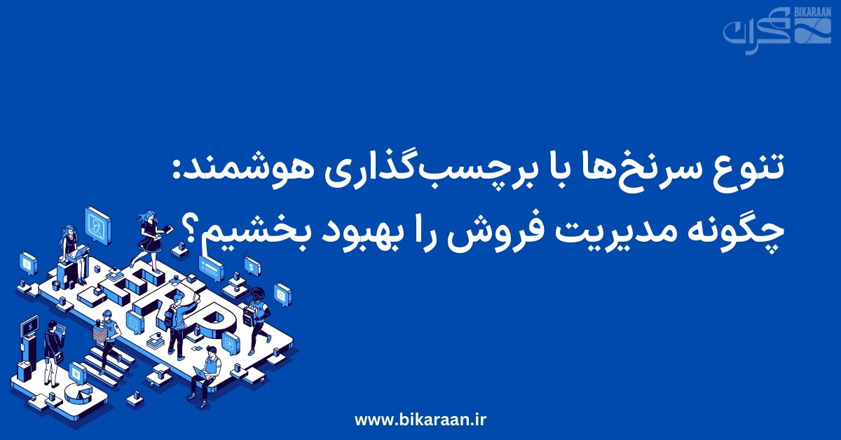 تنوع سرنخ‌ها با برچسب‌گذاری هوشمند: چگونه مدیریت فروش را بهبود بخشیم؟