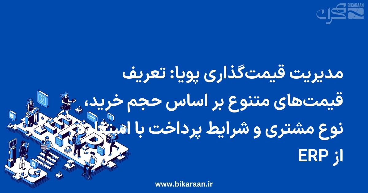 مدیریت قیمت‌گذاری پویا: تعریف قیمت‌های متنوع بر اساس حجم خرید، نوع مشتری و شرایط پرداخت با استفاده از ERP