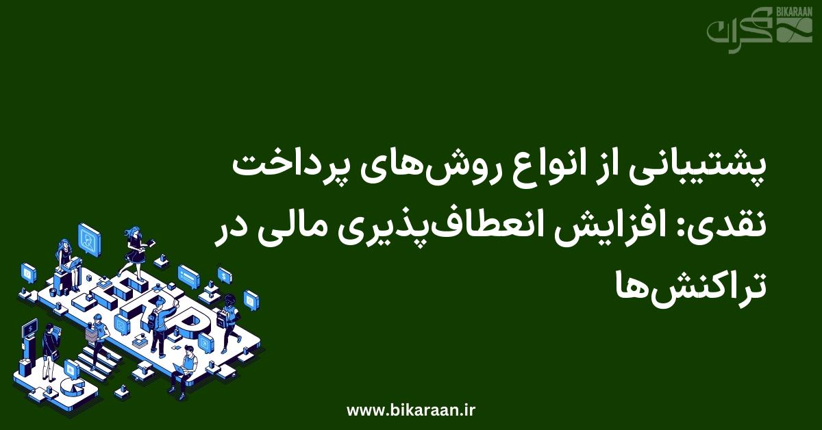 پشتیبانی از انواع روش‌های پرداخت نقدی در ERP: افزایش انعطاف‌پذیری مالی در تراکنش‌ها