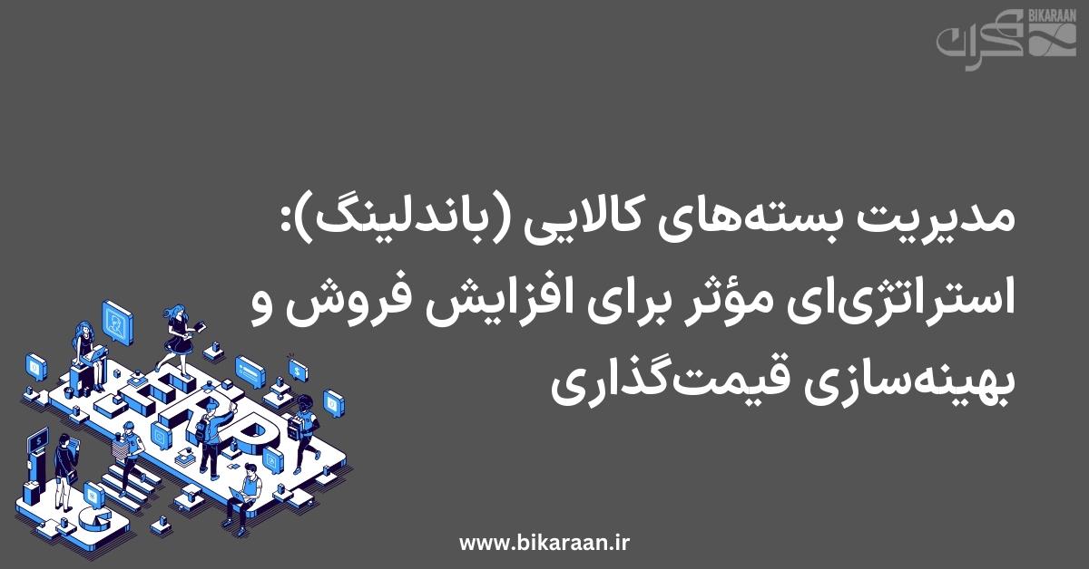مدیریت بسته‌های کالایی (باندلینگ): استراتژی‌ای مؤثر برای افزایش فروش و بهینه‌سازی قیمت‌گذاری
